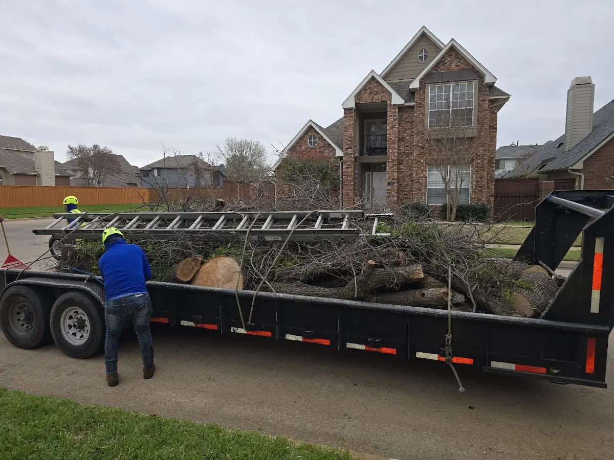 Expert Lot Clearing with proper safety equipment in Deer Park